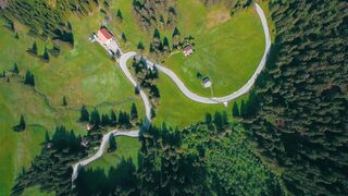 beautiful scenes of nature in which  forests are shown