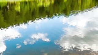beautiful scenes of nature in which forest are shown