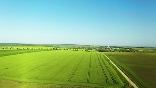 beautiful scenes of nature in which meadows are shown