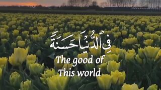 Tilawat e Quran