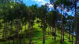 My village