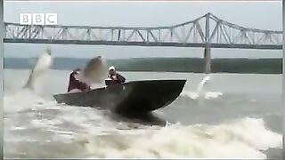 سبحان الله اللہ کی قدرت