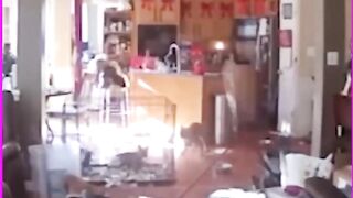 ||try not to laugh ???????? very funy videos