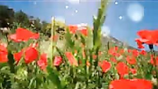 Hi good