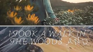 I took a walk in the woods and came out taller than the trees.