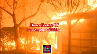 Raw footage captures horror of Los Angeles wildfires