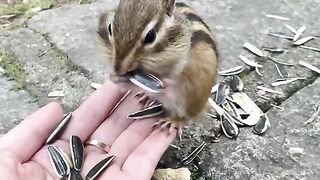 Enjoying  he is not shy