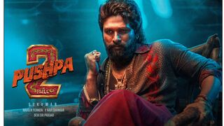 Pushpa 2 - The Rule Full Movie Hindi Dubbed Part 1
