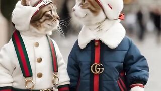 Babys und Katzen Gucci