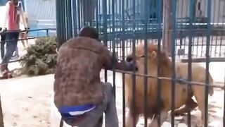 Why are you running The guy is playing with the lion
