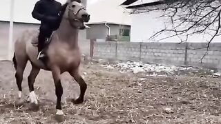 Кукари ишкбозлори