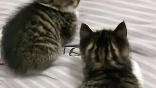 Repos total
