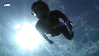 Reviving A Coral Paradise In The South Pacific