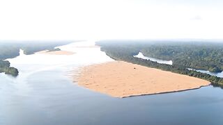 Turtle Mother Lays Hundreds of Eggs