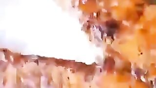 Funny fish