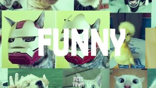 try not to laugh ???????? very funy videos Incredibly hilarious animal moments 2