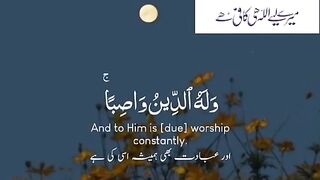 Subah Beautifull Morining