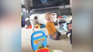 Cute Baby Funny Moment| Respect cute Moments