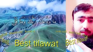 Best tilawt quran|tilawat| quran|