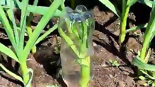 Make your backyard a hackyard with these amazing ideas & tips! ????