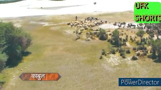 ali baba dastan e kabul||best drama scenes||dont miss