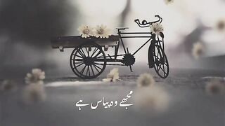 True line