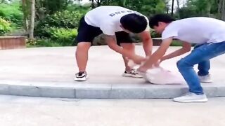 dog cat funny moments