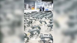 Смешные видео