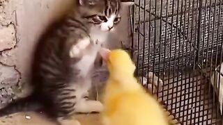 OMG the scariest fight in the world. ❤️