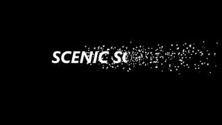 Rainforest Soundscape 4K ???????? ｜ Pure Bliss for Relaxation and Meditation #natureheals