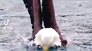 Motivation
