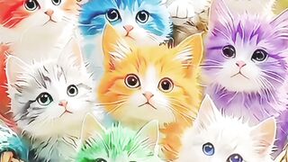 Cute cat