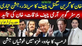 خان کا گرین سگنل، چیف سرینڈرتیاری، بریسٹر گوہر ملاقاتیں، ٹرمپ کا جادو چل گیا، غزہ،