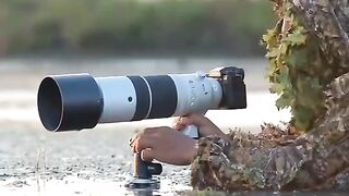 Master the Art of Photography Tips for Stunning Shots