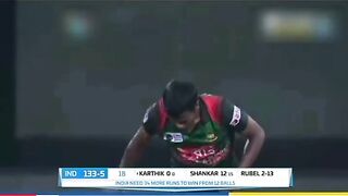 Exciting Cricket