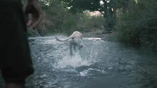 DOG IN RIVER