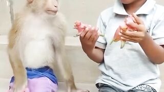 Relationships humain monkey