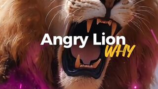 The Angry Lion