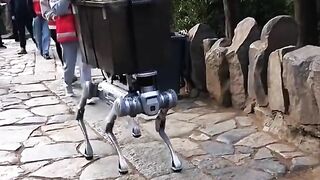 Robot pengangkut barang