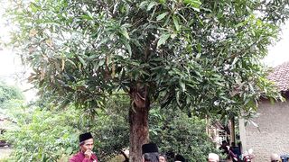 Merajut pertmuan