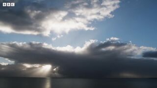 Young Female Attempts to Kidnap Baby Dolphin _ Puck s Story Part 4 _ Dolphins of Shark Bay