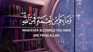 The Holly Quran verses ????