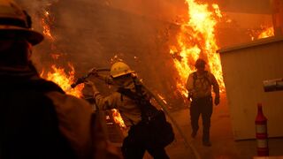 Structures Burn as Palisades Fire Explodes #wildlandfire #wildlandfirefighter #la #losangeles #lafires #lafire #cali #california #calfire #fd