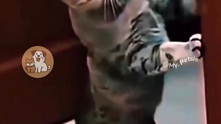 Laugh with me