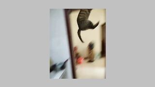 the cat jumps on a door