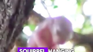 Baby squirrel’s life saved……
