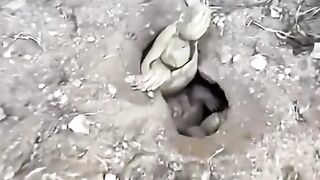 Woman finds an injured turtle