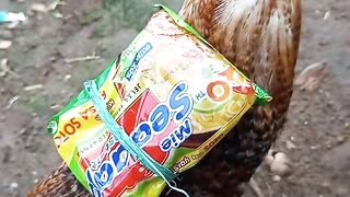 Mie Ayam