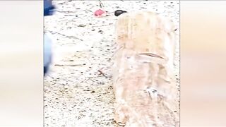 CRAZY Shocking and Funny Moments You’ll Only See in Africa! ????