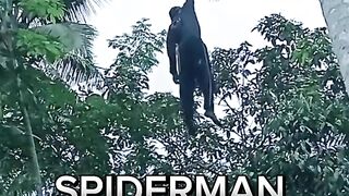 Spiderman reborn